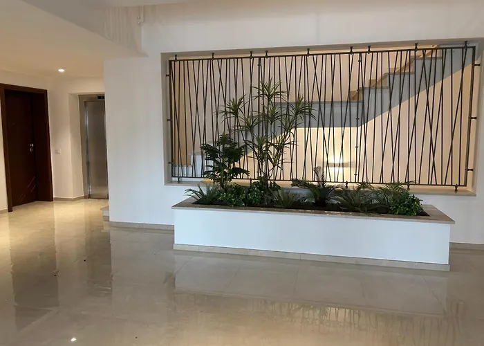 Vinci - Premium トルトレート