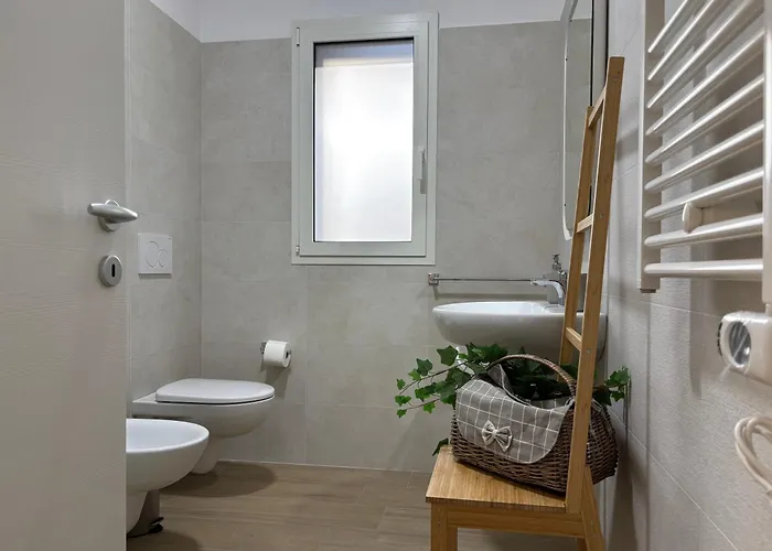 Vinci - Premium * トルトレート